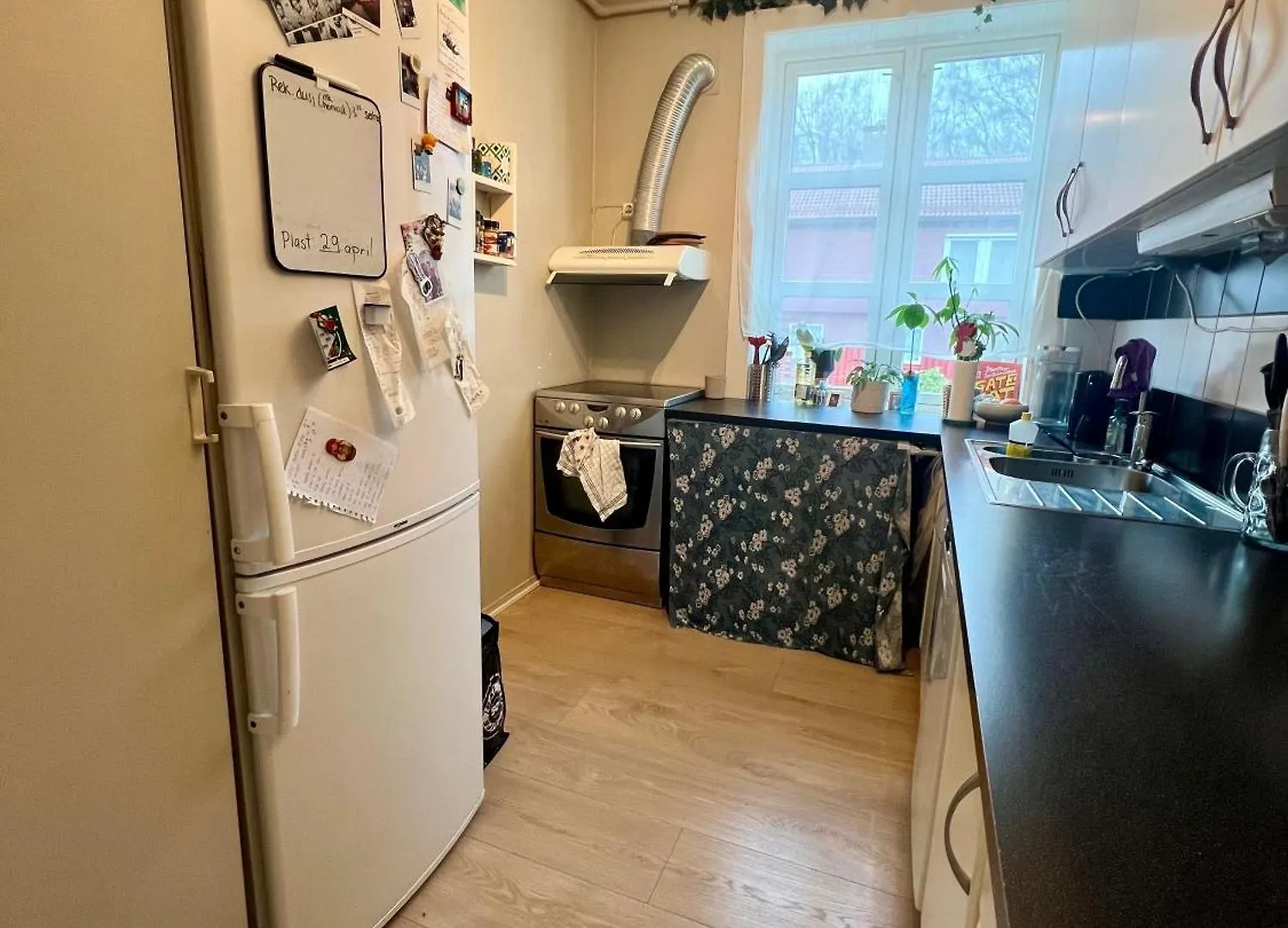 Newly Renovated Home With Lots Of Light! Bergen